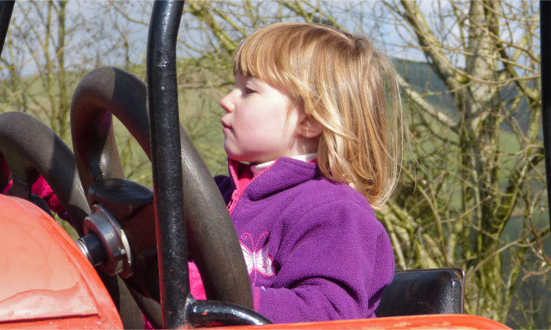 Blaze Farm (2)