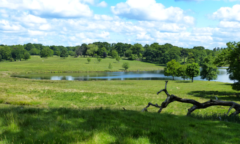Tatton Park (1)