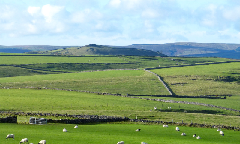 Hartington Area (4)