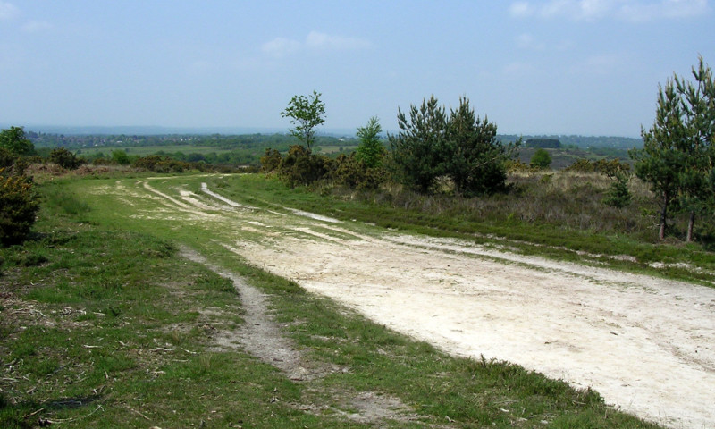 Ashdown Forest (2)