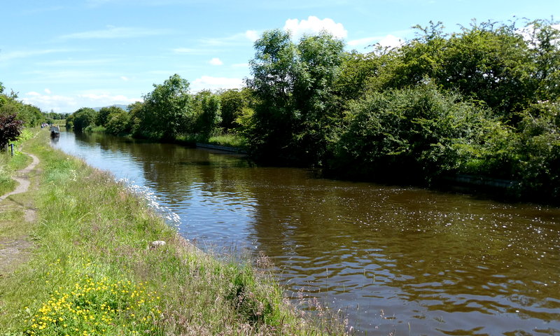 Canal at Bank Newton