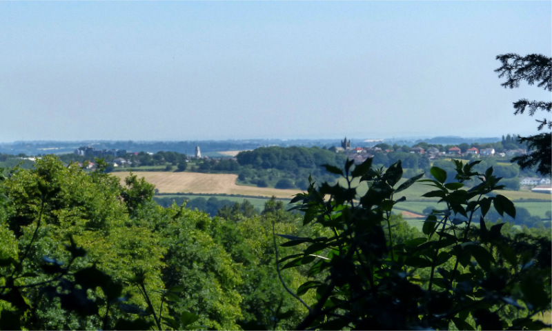 Wentworth Castle (6)